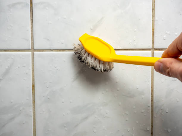 Best Office Mold Removal Services  in Haskell, AR
