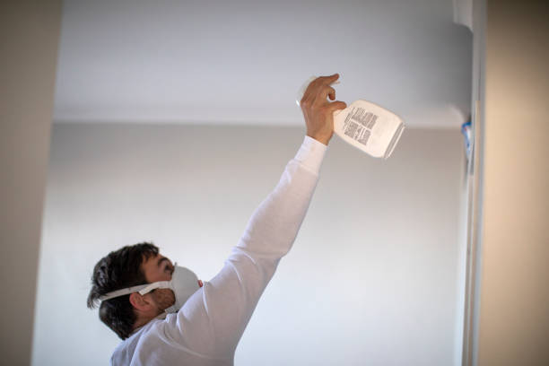 Best Emergency Mold Removal  in Haskell, AR