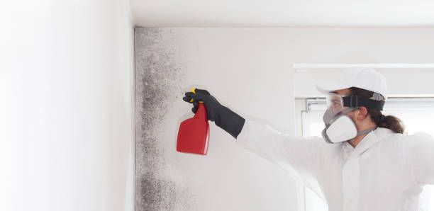 Best Crawl Space Mold Removal  in Haskell, AR